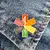 LGBT Rainbow Star of Life Καρφίτσα Μεταλλική