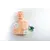 PRACTI-MAN ADVANCED JAW THRUST Εκπαιδευτικό Πρόπλασμα Ενήλικα & Παιδιού