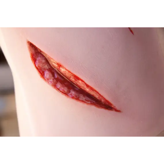 Εκπαιδευτικό Ομοίωμα Μεγάλου Κοψίματος με Λειτουργία Αιμορραγίας Εκπαιδευτικό Ομοίωμα Μεγάλου Κοψίματος με Λειτουργία Αιμορραγίας