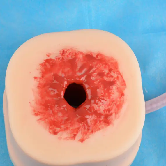 Εκπαιδευτικό Ομοίωμα Τραύματος από Πυροβολισμό Εκπαιδευτικό Ομοίωμα Τραύματος από Πυροβολισμό